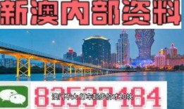 最新爆料素材,最新爆料素材背后的惊人真相