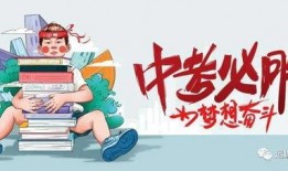 飞鹤最新爆料消息今天视频,揭秘今日视频背后的惊人真相