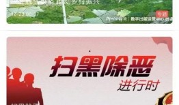 湖北最新爆料新闻视频,揭秘XX事件背后真相