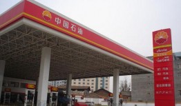武汉加油站爆料案件最新,真相大白，涉案人员悉数落网