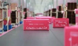 品骏快递最新爆料,揭秘行业变革背后的秘密