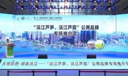沅江新闻爆料网最新消息,最新爆料揭示惊人内幕！
